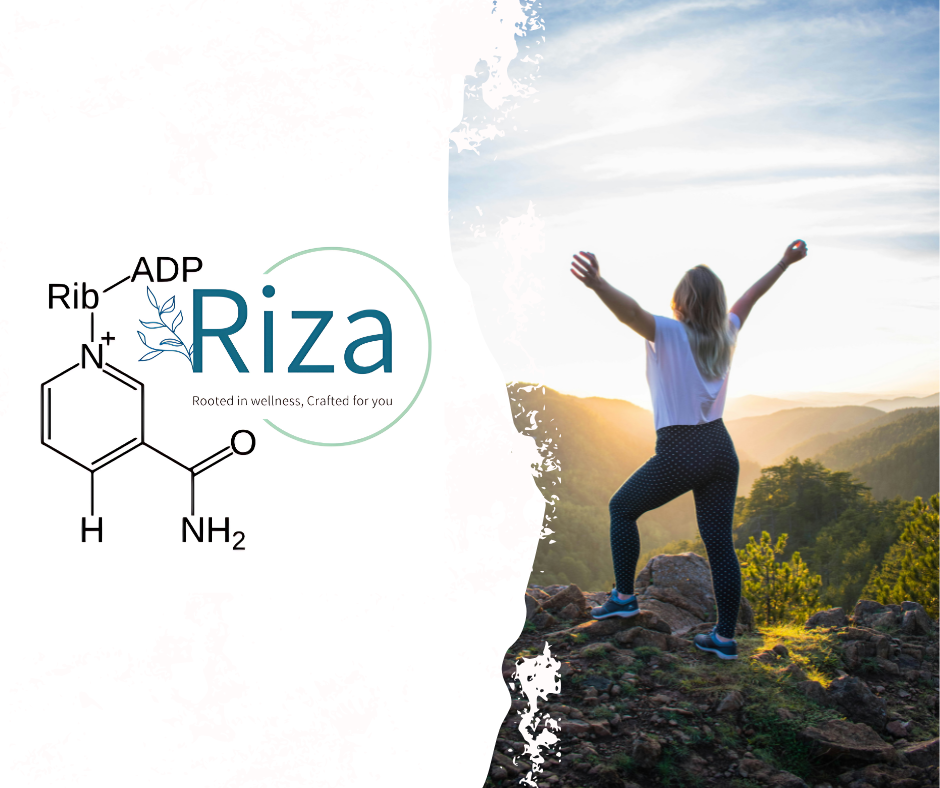 riza home test 1